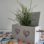 Splendido Appartamento Vicino Al Cuore Di Torino
